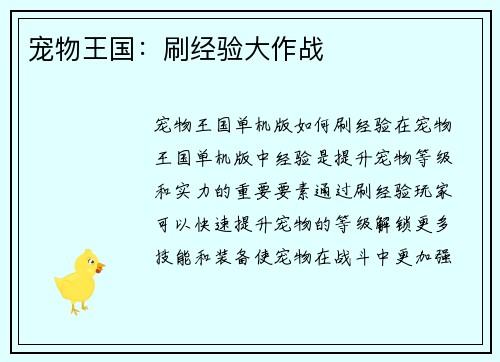 宠物王国：刷经验大作战